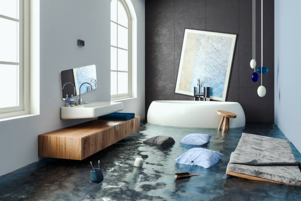 Water damage restoration insurance claims in Berea, SC