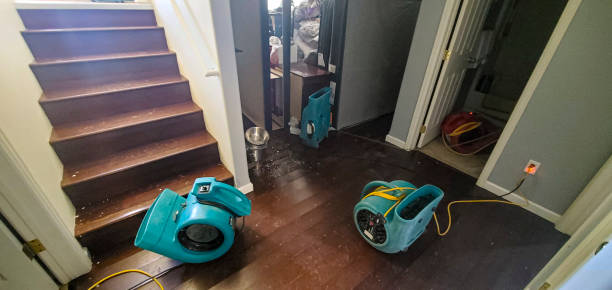Best Residential water damage restoration  in Berea, SC