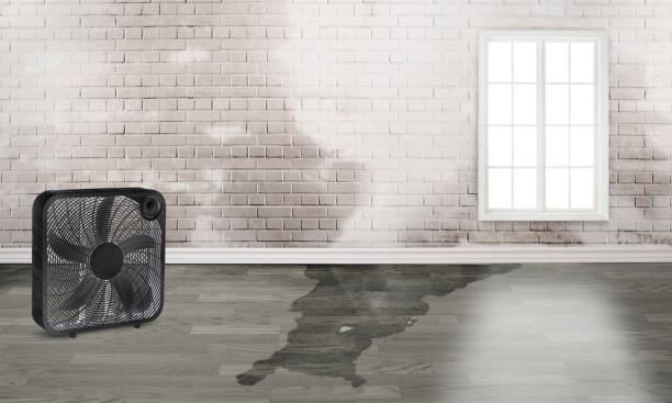 Best Water damage restoration near me  in Berea, SC