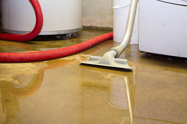 Best Water damage restoration specialists  in Berea, SC
