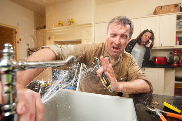 Best Sewage cleanup and water damage restoration  in Berea, SC